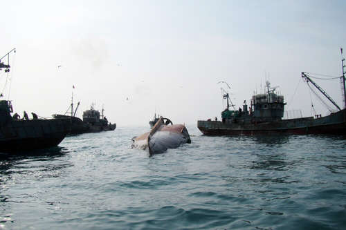 사진=서해어업관리단 제공.